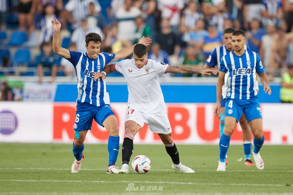 他职业生涯 他职业生涯